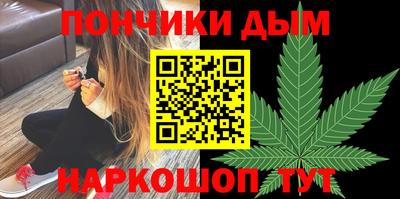 гашик Кингисепп