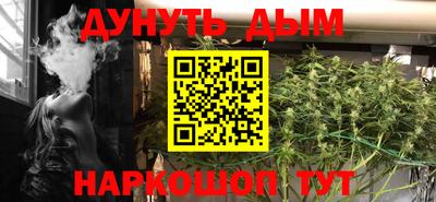 гашик Кингисепп