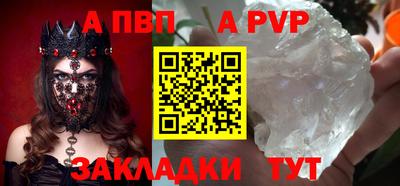 гашик Кингисепп