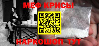 гашик Кингисепп