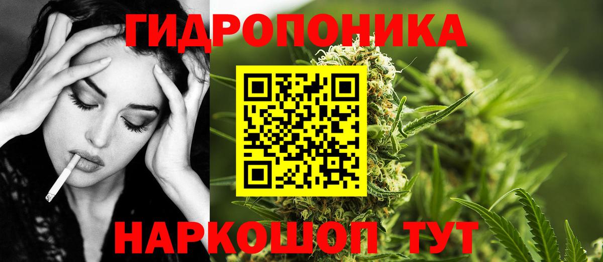 Шишки марихуана план Кудымкар